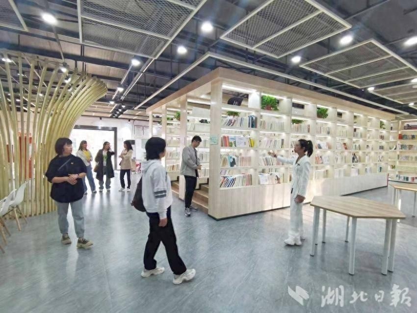 蔡甸区图书馆新项目建设现代化阅读空间，推动文化事业繁荣发展