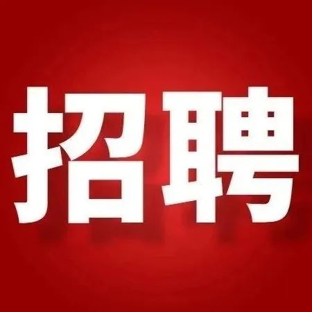 玉泉区小学招聘最新信息概览