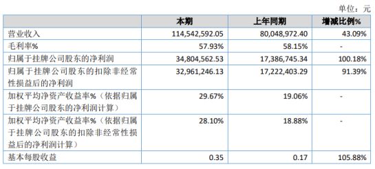 麻城市数据和政务服务局最新项目概览