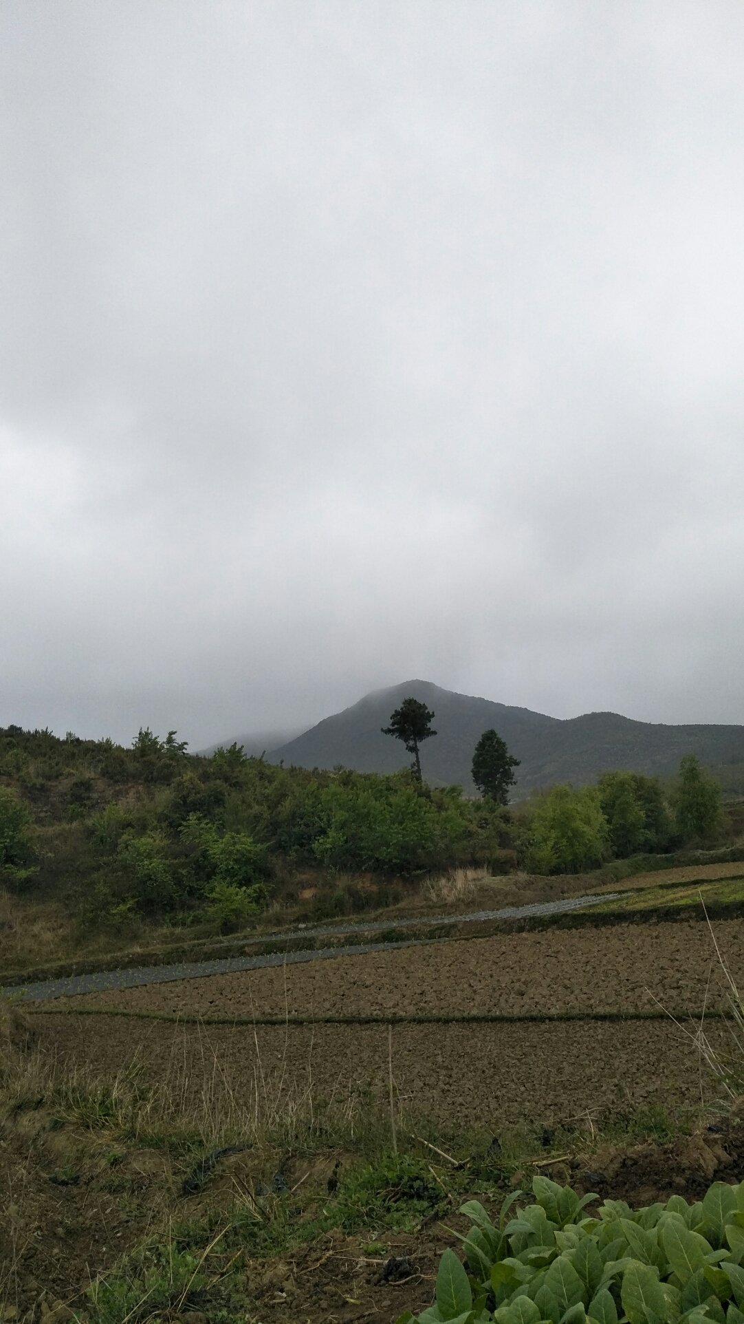 南高乡天气预报更新通知