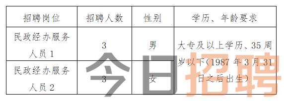 巴中市财政局最新招聘公告详解