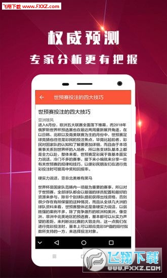 一码一肖100%精准  ,综合性计划落实评估_精简版2.741