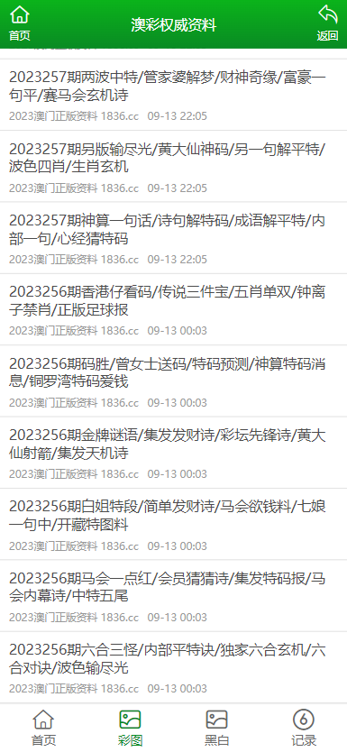 新澳门资料大全正版资料2024年免费下载,科学化方案实施探讨_体验版9.215