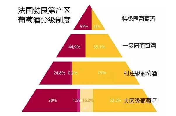 2024今晚澳门开特马,全面理解执行计划_创新版8.503