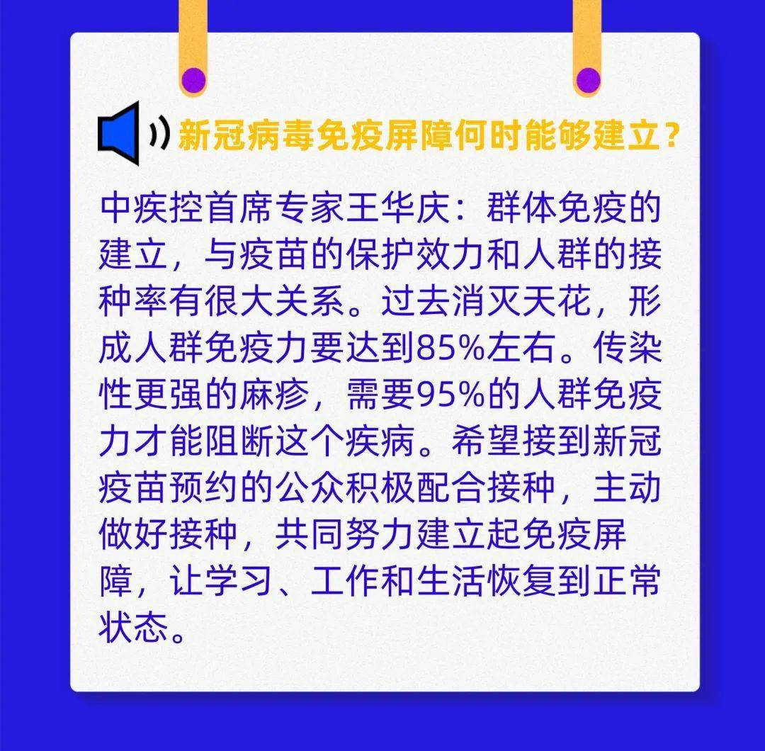 新澳2024年正版资料,确保成语解释落实的问题_特别版2.449