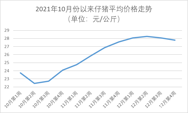 小猪价格今日动态，最新消息与市场影响因素分析