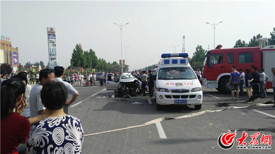 山东德州陵县车祸事件深度剖析