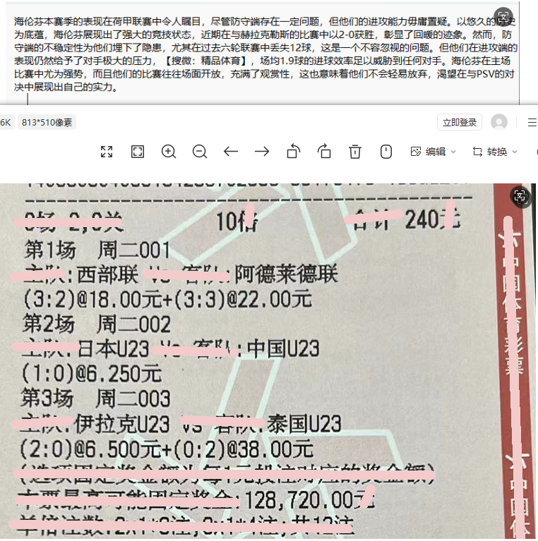 2024王中王资料一肖中v,时代资料解释落实_限量版3.867