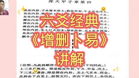 202管家婆一肖一吗,经典解释落实_游戏版256.183