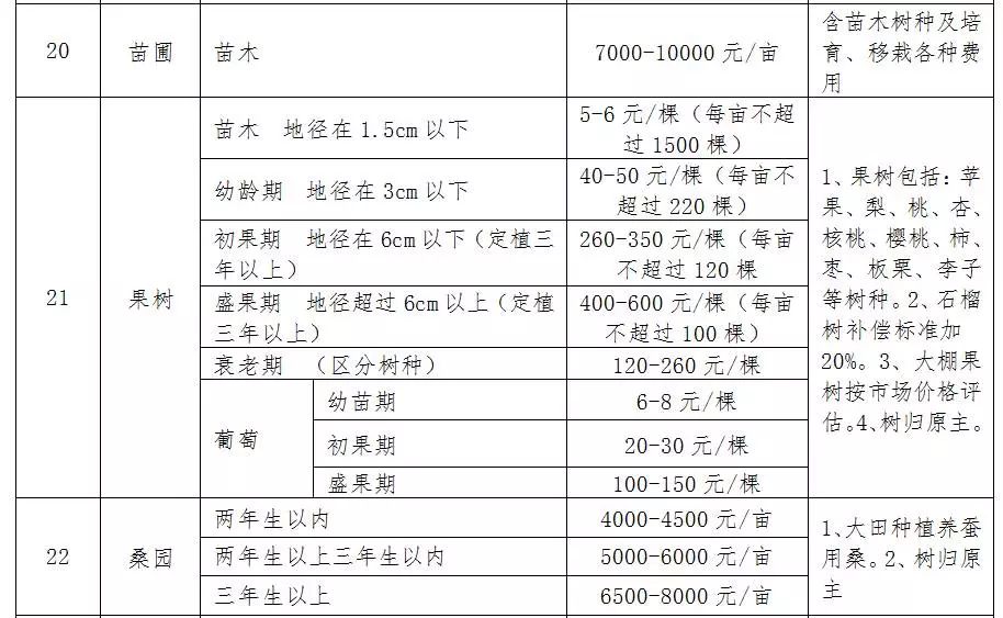 新澳天天开彩资枓,广泛的解释落实支持计划_标准版90.65.32