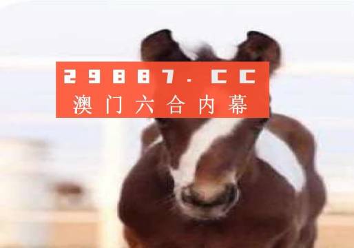 澳门一肖一码一必开一肖,最新答案解释落实_豪华版180.300