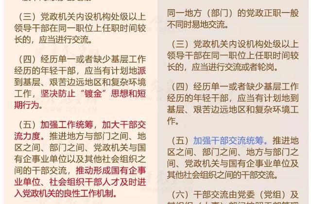 一码一码中奖免费公开资料,诠释解析落实_精简版105.220