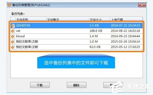 新澳精准资料免费提供510期,具体操作步骤指导_win305.210