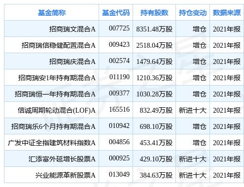 南玻A引领行业变革，未来发展展望新篇章