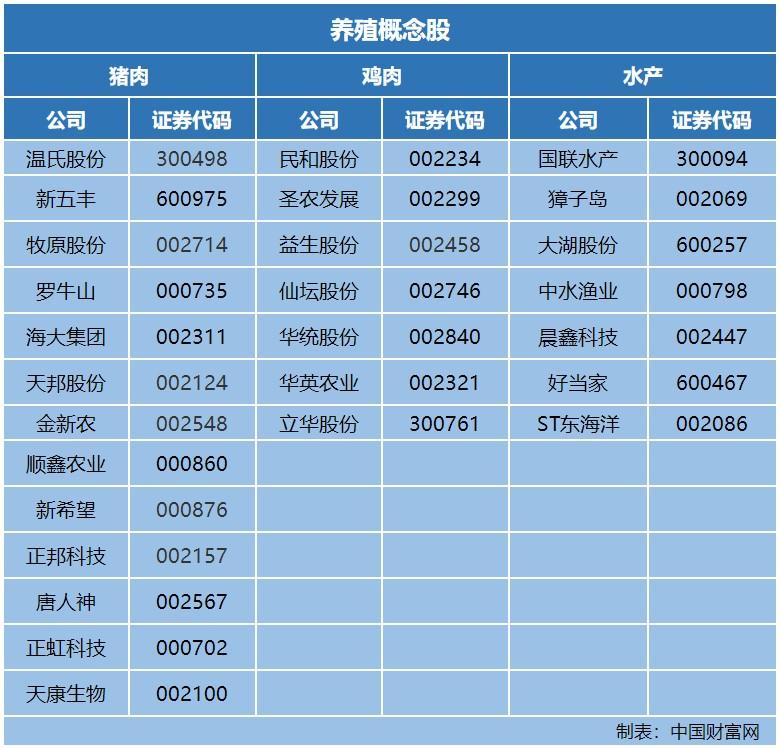 好当家引领行业变革，塑造未来典范新篇章