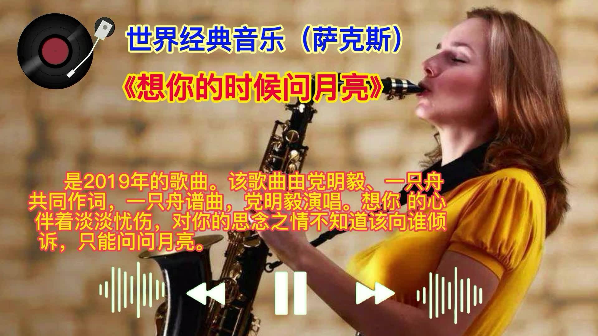 一只舟最新歌曲的魅力深度解读