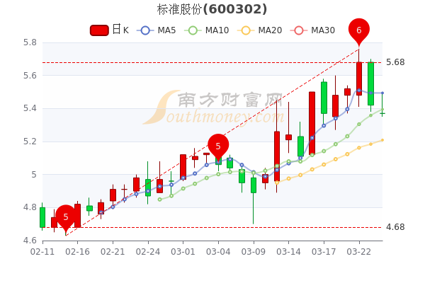 标准股份最新消息全面解读与分析