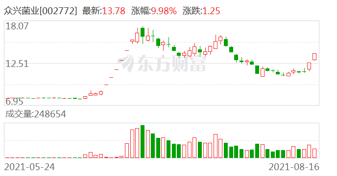 众兴菌业引领行业变革，塑造未来生态新篇章