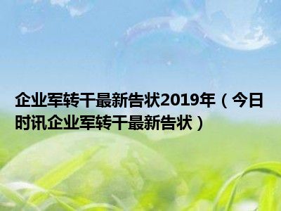 企业军转干最新动态，转型、发展与挑战的挑战应对