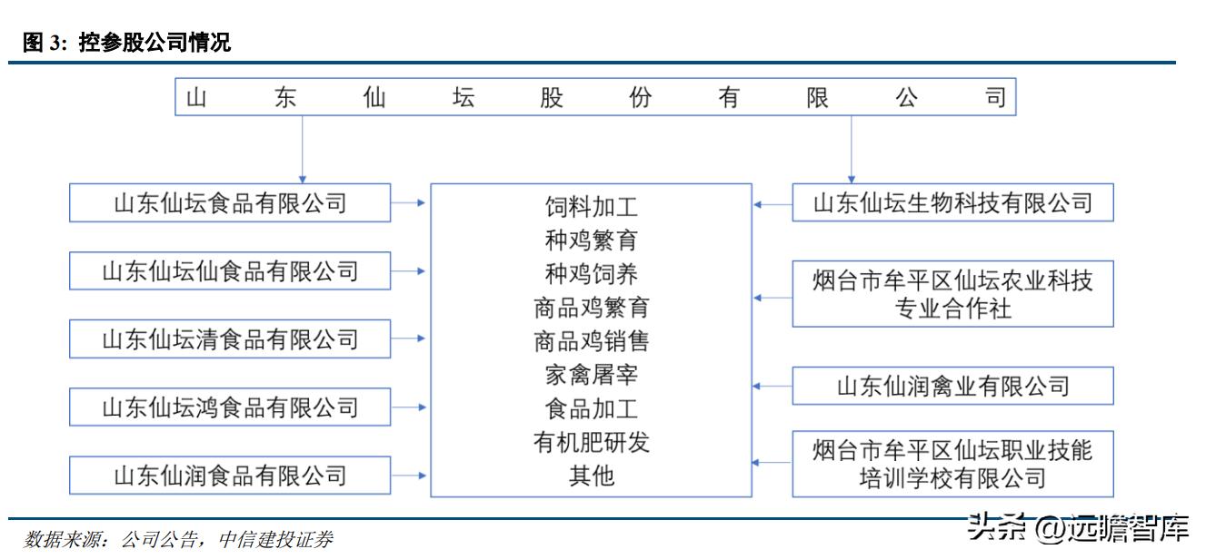 仙坛股份最新消息全面解读与分析