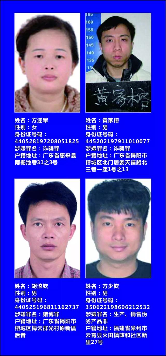 普宁最新通缉令，正义行动与公众警觉性的重要体现