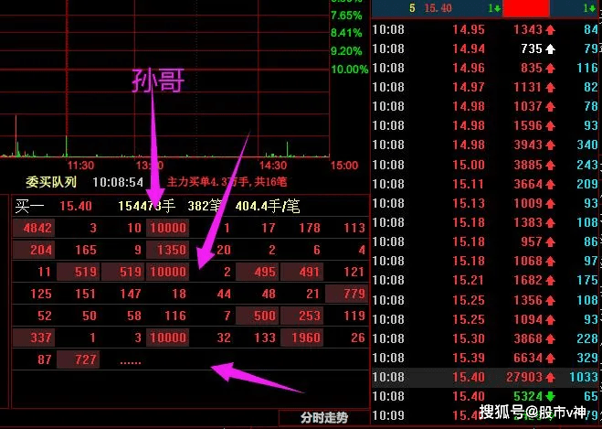 2024新澳门今晚开特马直播,收益说明解析_PalmOS125.538