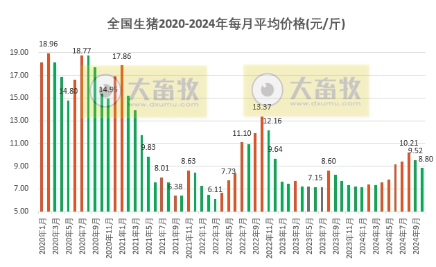 全国生猪价格最新行情解析