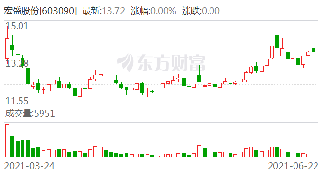 宏盛股份最新消息全面解读与分析