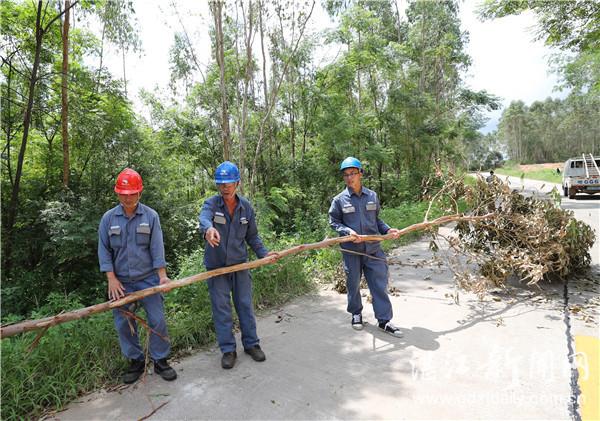 廉江最新公路规划图揭晓，塑造未来城市交通新篇章