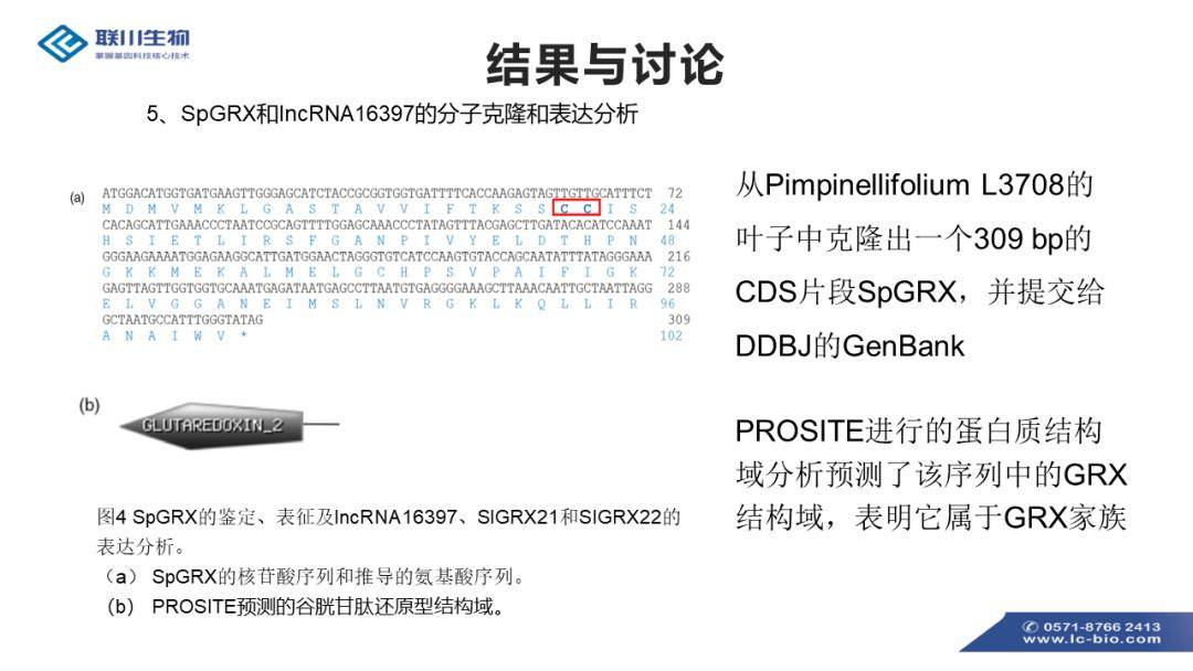 2024新澳资料大全免费下载,调整方案执行细节_HD38.32.12