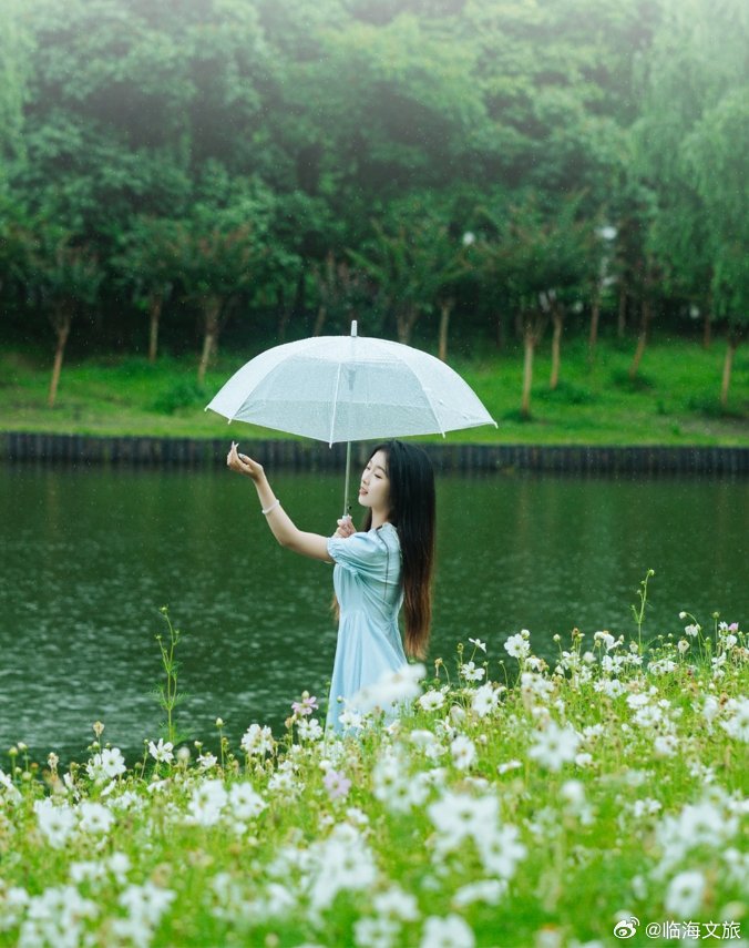 初夏若雨等花开，花开盛景待你赏