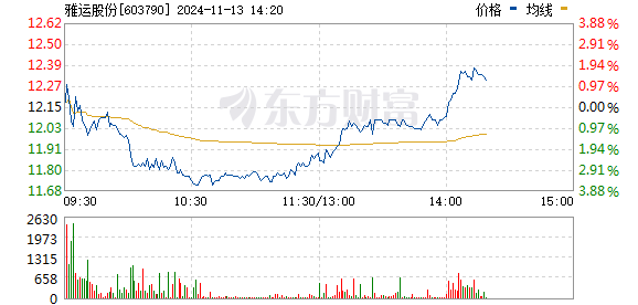 雅运股份最新消息全面解读与分析