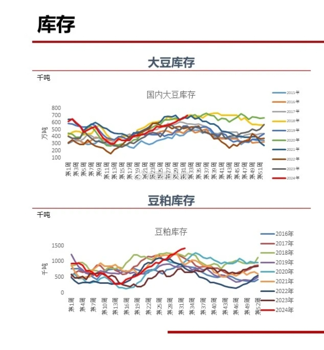 周口大豆价格最新行情解析