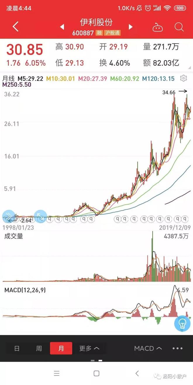 伊利股价最新动态分析与走势预测