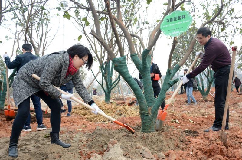 武汉汉南地区城市发展与民生改善新篇章揭晓，最新新闻报道汇总