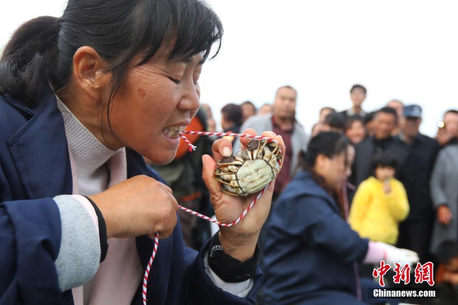 泗洪人才市场最新招聘信息解析，求职者的机遇与挑战