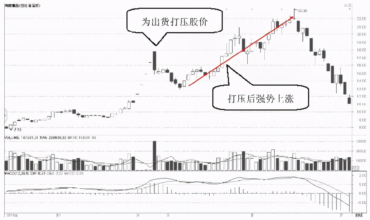 海南椰岛股票最新消息深度解析