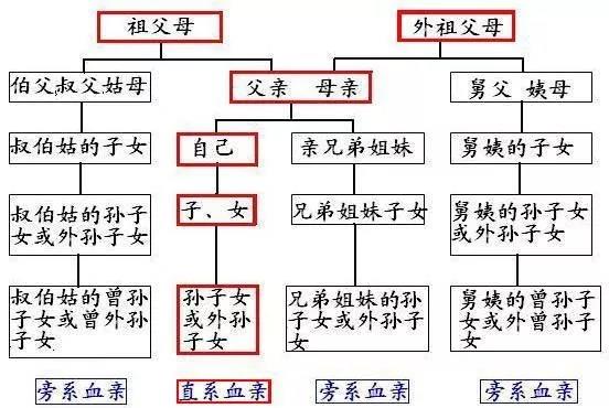 移动号码过户最新规定解析