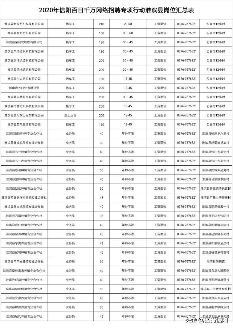 新县招聘信息，就业新机遇与人才新篇章