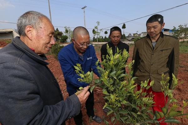 中江新闻今日热点视频报道，实时动态聚焦