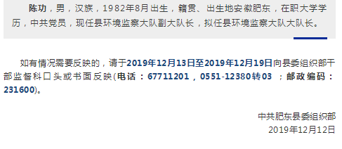 合肥干部任前公示解读，最新人事动态解析