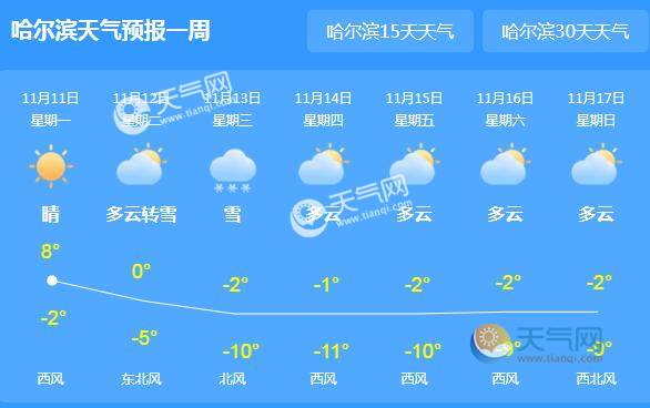 2024年12月4日 第19页