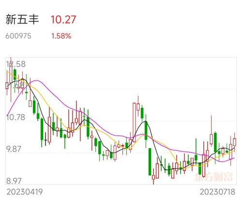 新五丰行业动态与发展趋势最新消息