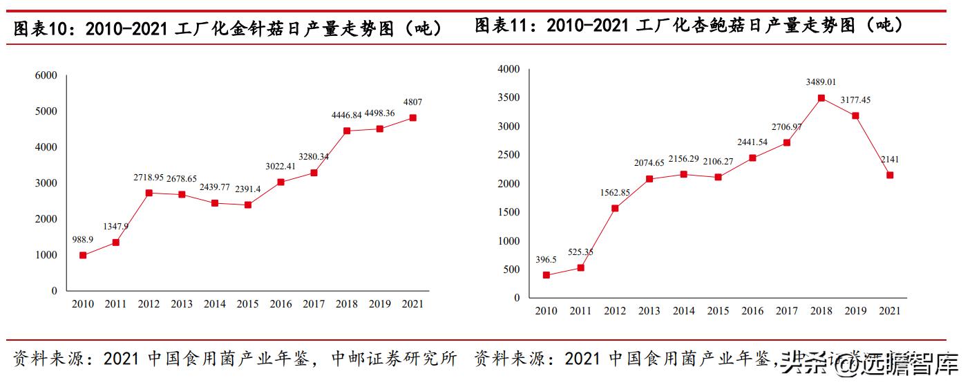 金针菇价格最新行情分析