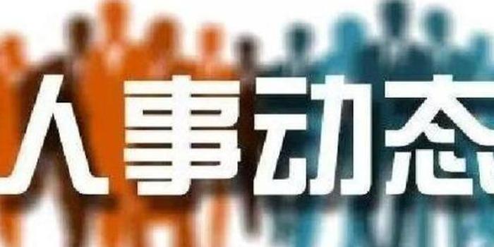 重庆市最新人事任免解析