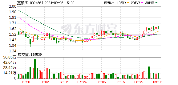 嘉麟杰最新动态，行业趋势与未来展望