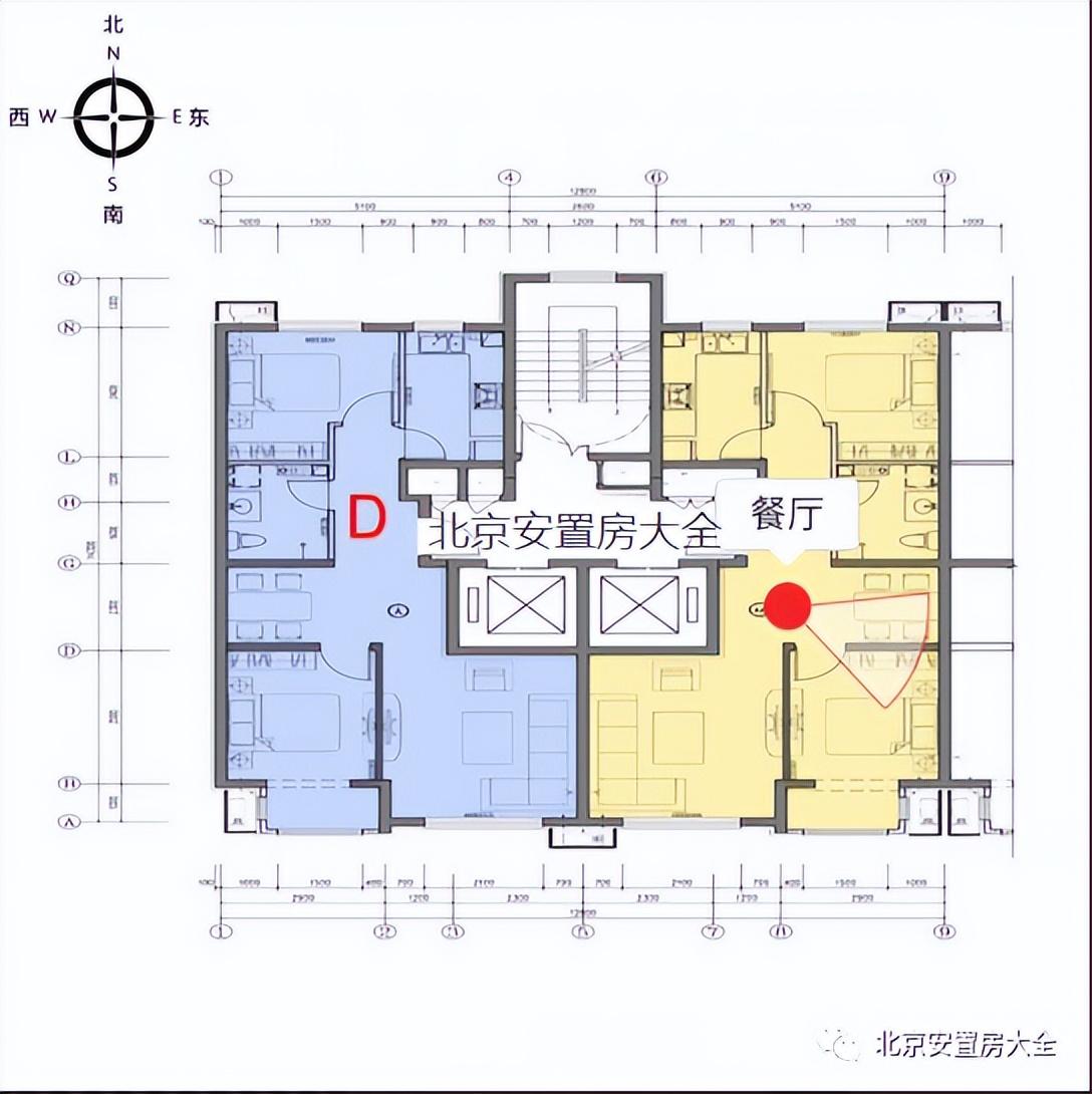 北京化石营最新消息，地质发现与研究进展