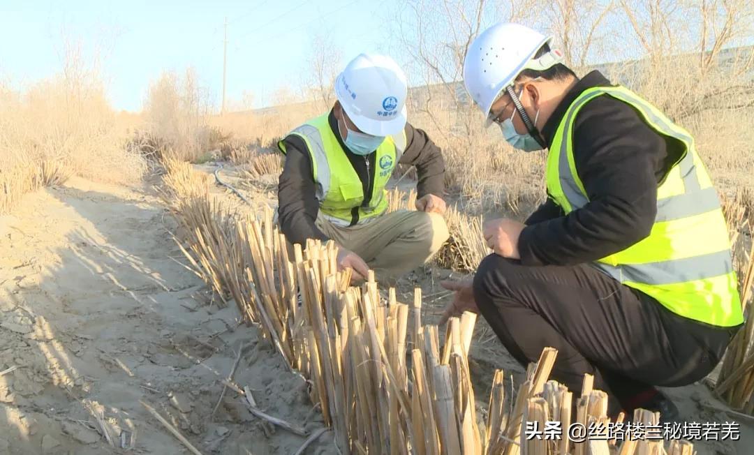 森芋暖暖 第4页