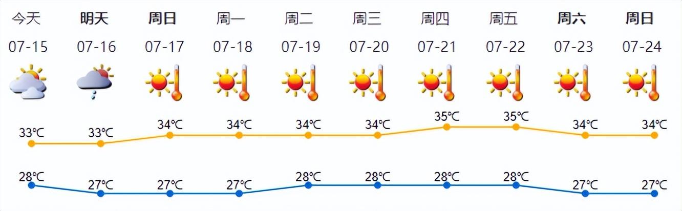 2024年12月7日 第20页