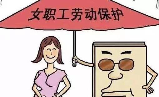 最新版离婚协议书范本解析，全面解读与实用指南